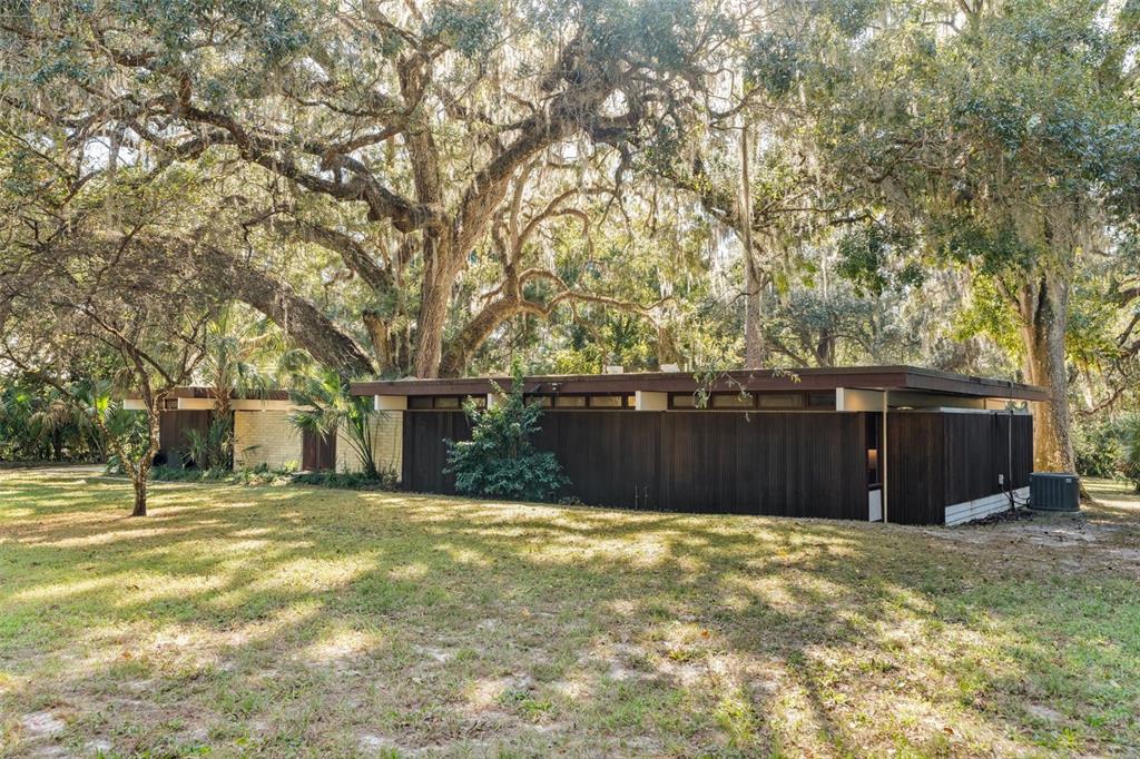 a view of a backyard