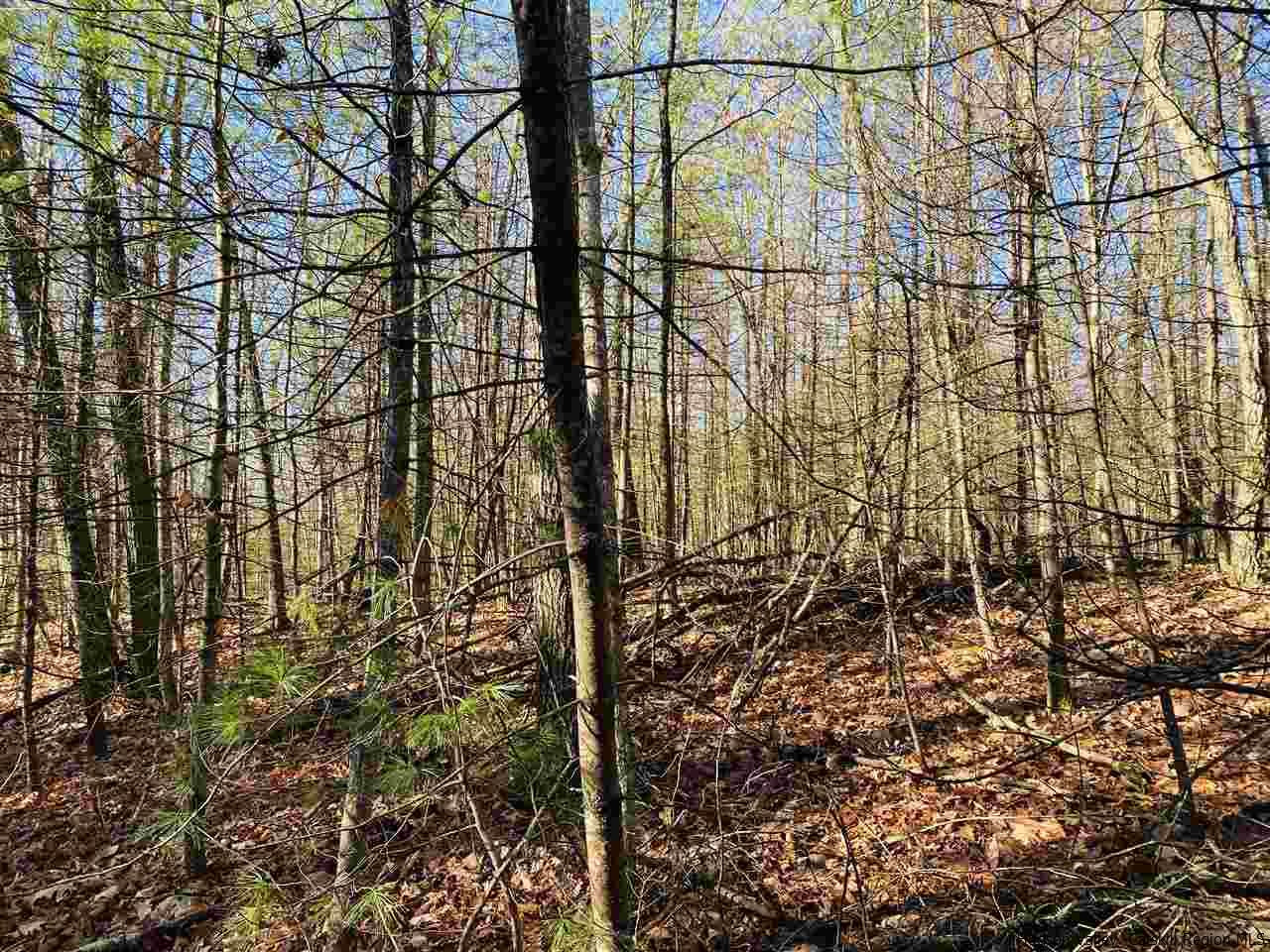 Tbd Acorn Hill Road Olivebridge, NY 12461 - Photo 2 of 3 Photo 2