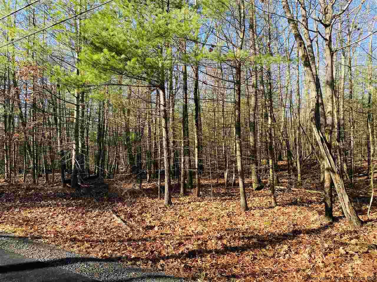 Tbd Acorn Hill Road Olivebridge, NY 12461 - Photo 3 of 3 Photo 3