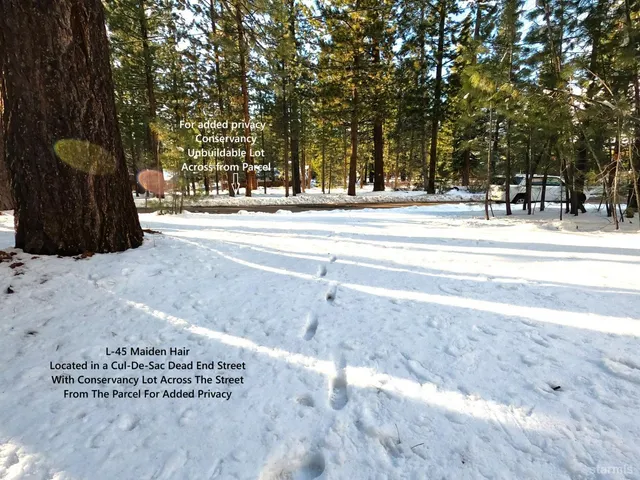 $229,000 | 45 Maidenhair Court, Unit LOT45, South Lake Tahoe, CA 96150