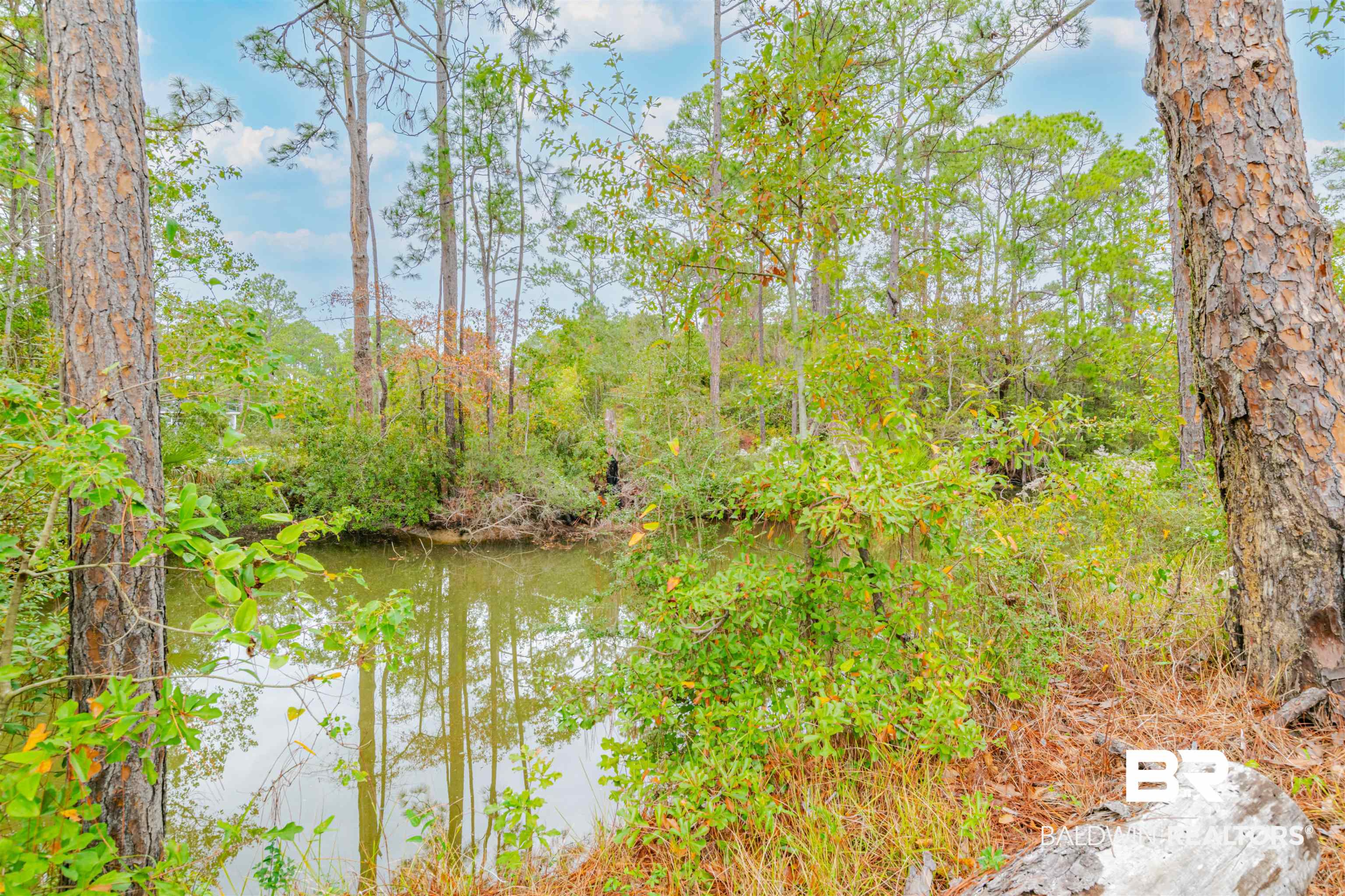 15330 Delta Port Boulevard Coden, AL 36523 - Photo 6 of 32