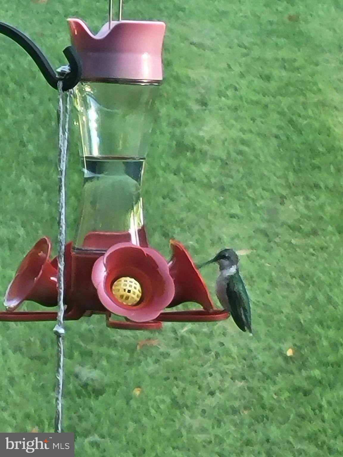 7322 Granalta Circle Frederick, MD 21702 - Photo 53 of 54