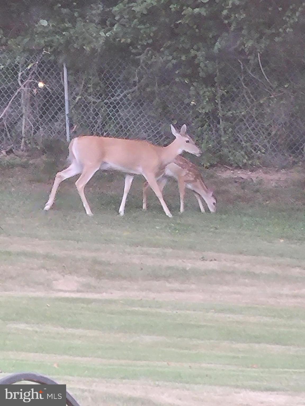 7322 Granalta Circle Frederick, MD 21702 - Photo 54 of 54