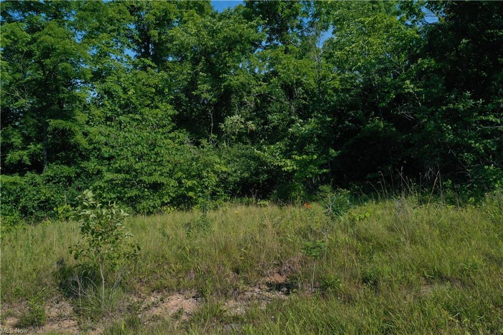 8610 West Triadelphia Road Malta, OH 43758 - Photo 12 of 42 GetMedia.ashx-31
