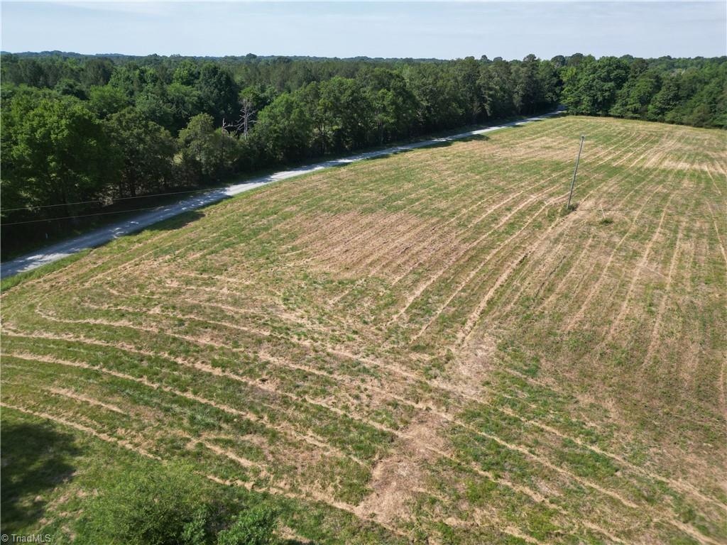 7875 Antioch Church Road Seagrove, NC 27341 - Photo 12 of 44