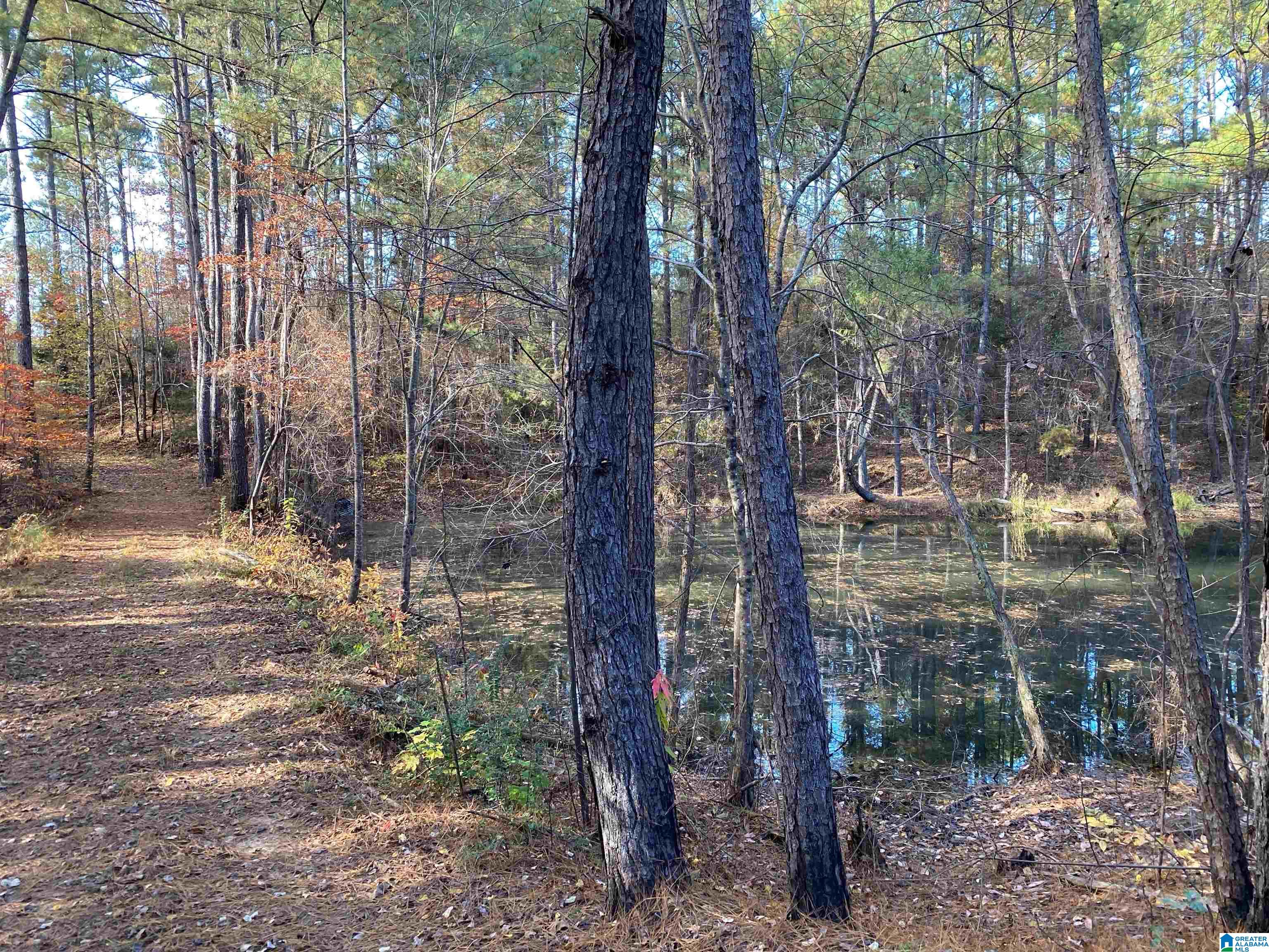 18851 Cattle Ranch Road Brookwood, AL 35444 - Photo 2 of 21
