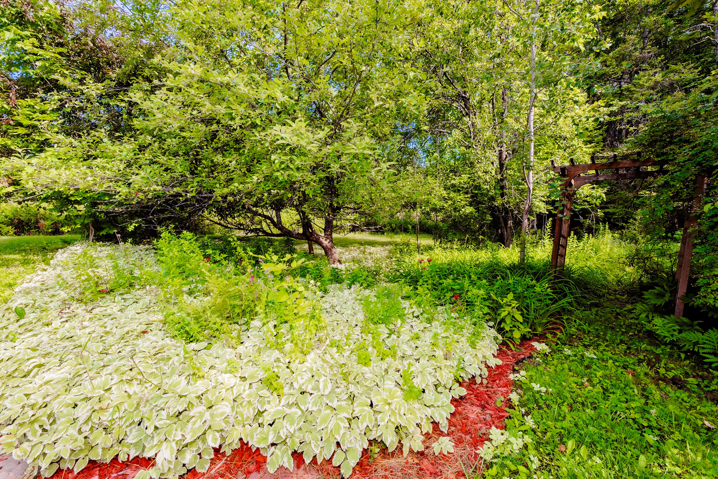 155 Anson Valley Road New Vineyard, ME 04956 - Photo 61 of 82 155 Anson Valley Road