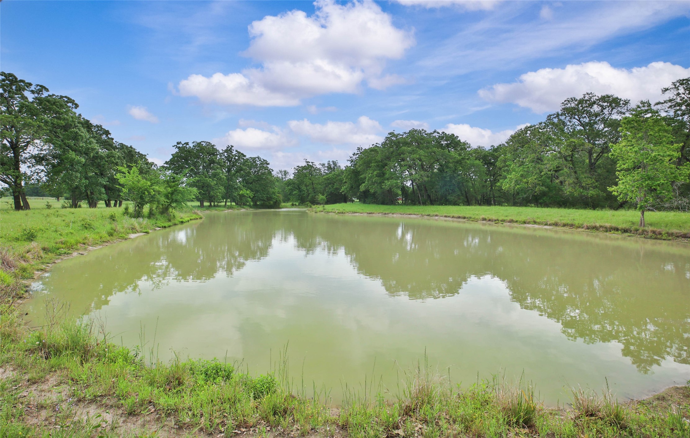 128 Duke Road Bedias, TX 77831 - Photo 36 of 50 Pond
