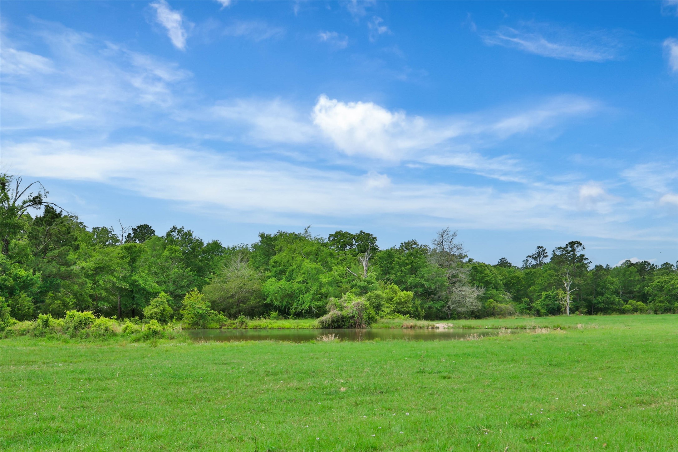 128 Duke Road Bedias, TX 77831 - Photo 47 of 50 a view of a green field