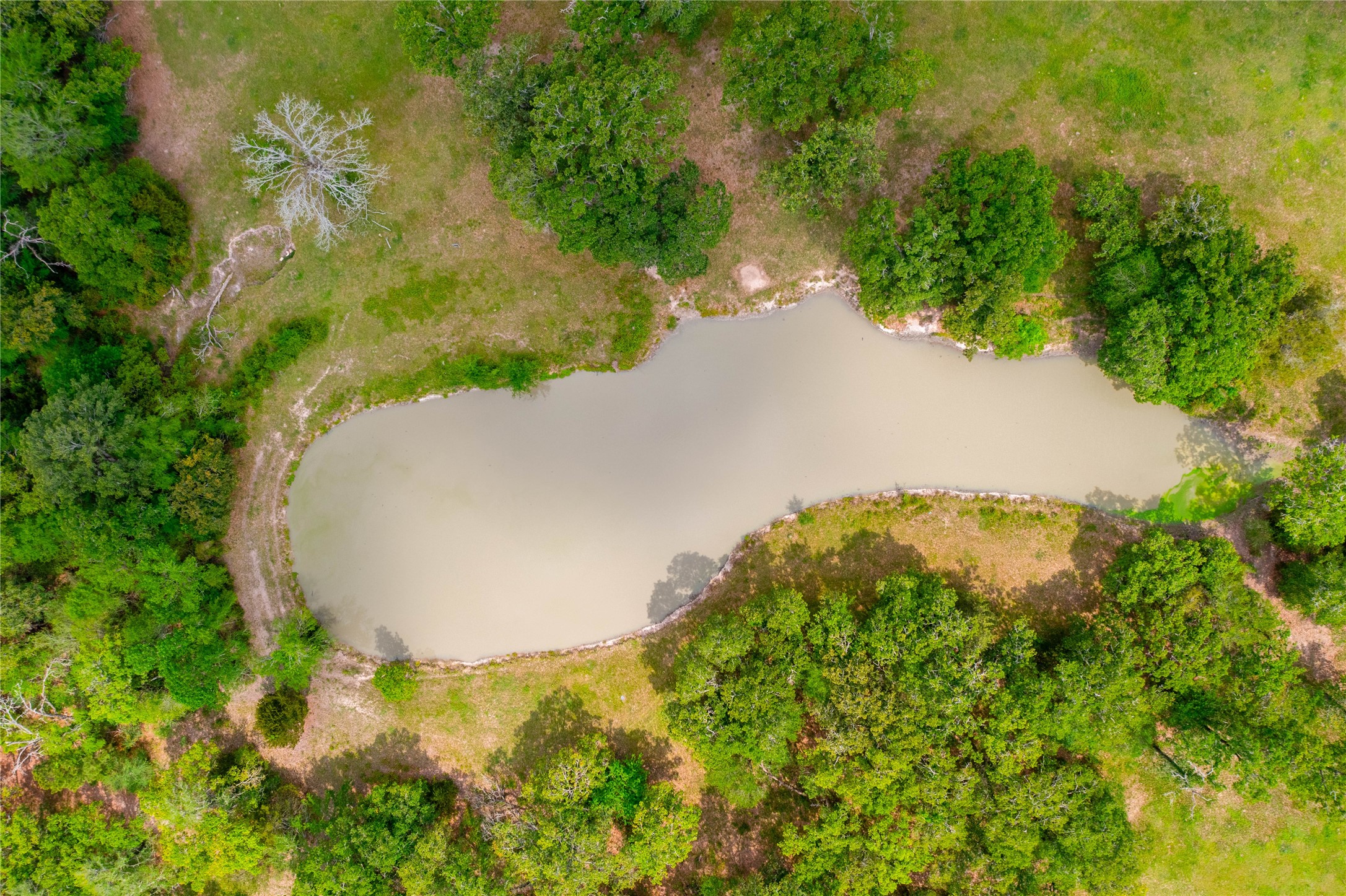 128 Duke Road Bedias, TX 77831 - Photo 49 of 50 Back Pond - 1Acre