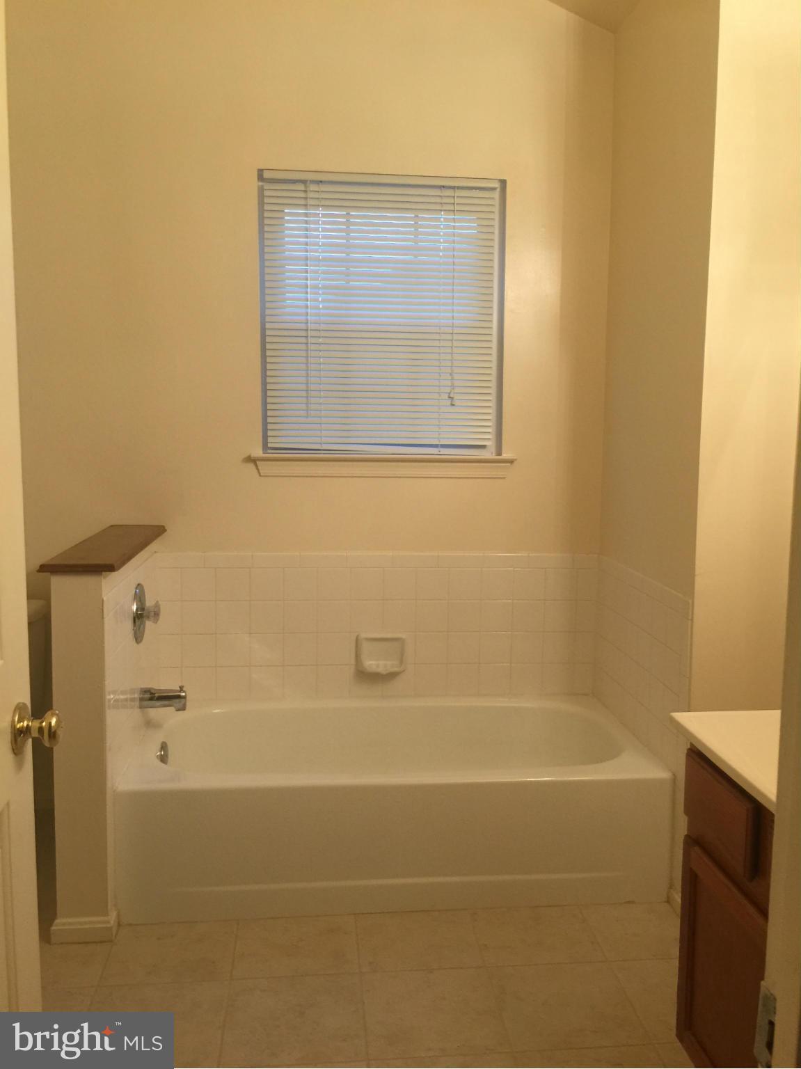 12907 Hawkshead Terrace Silver Spring, MD 20904 - Photo 10 of 15 Bath (Master)
