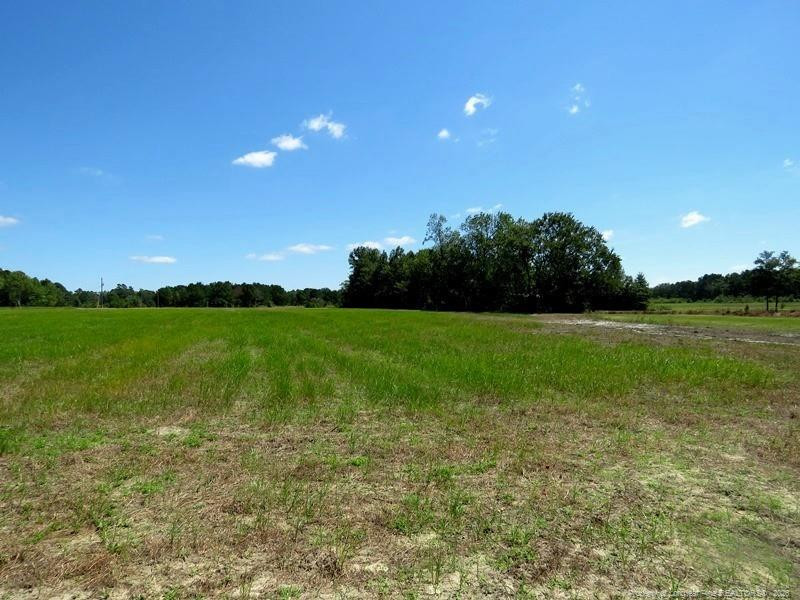 4512 Tobacco Road Orrum, NC 28369 - Photo 18 of 45
