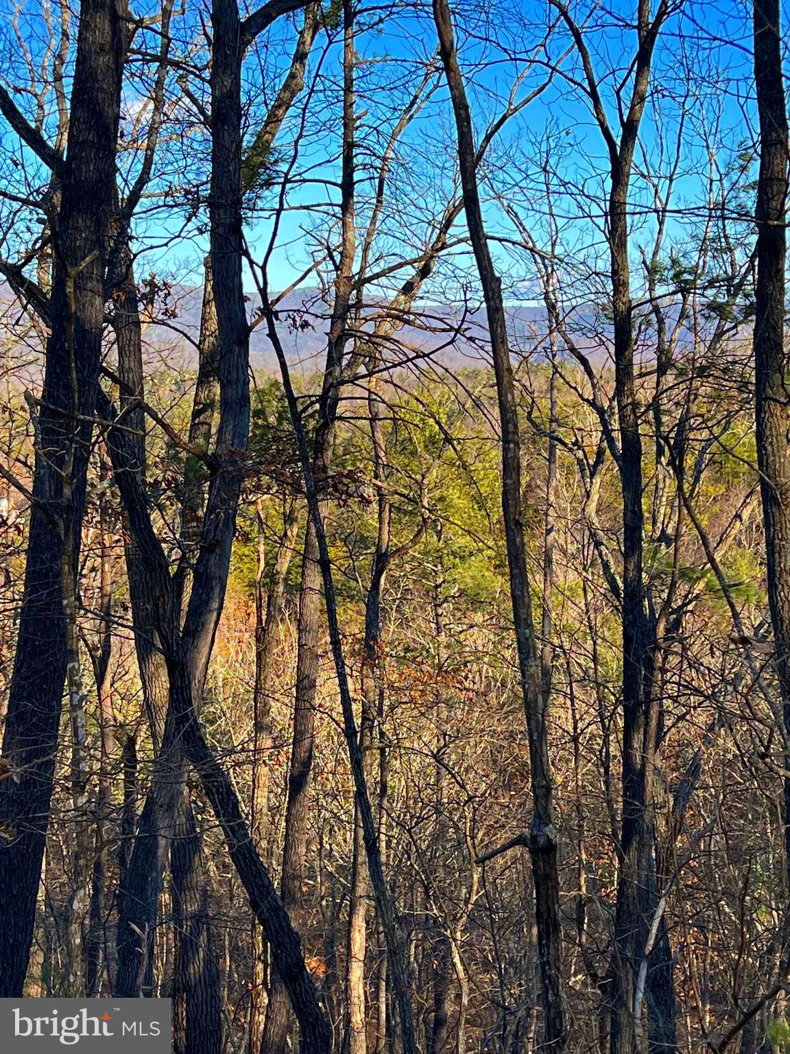 Lot 147 Valley View Mount Jackson, VA 22842 - Photo 1 of 5