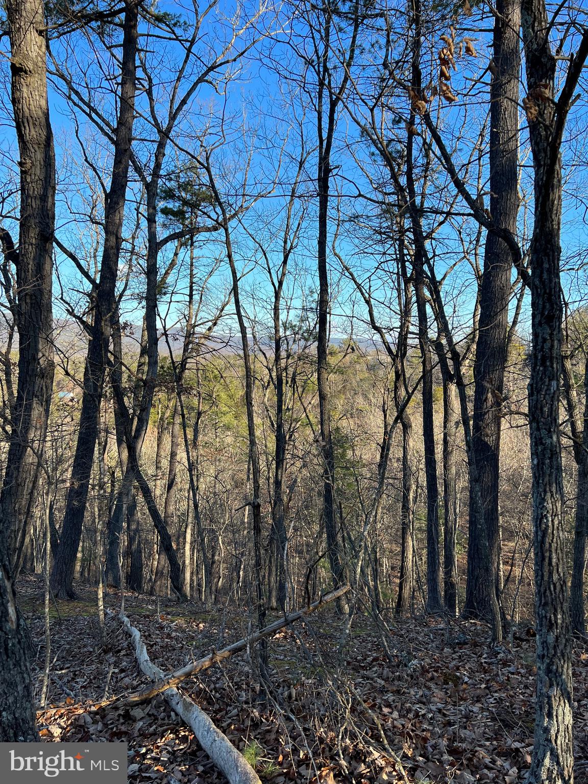 Lot 147 Valley View Mount Jackson, VA 22842 - Photo 2 of 5