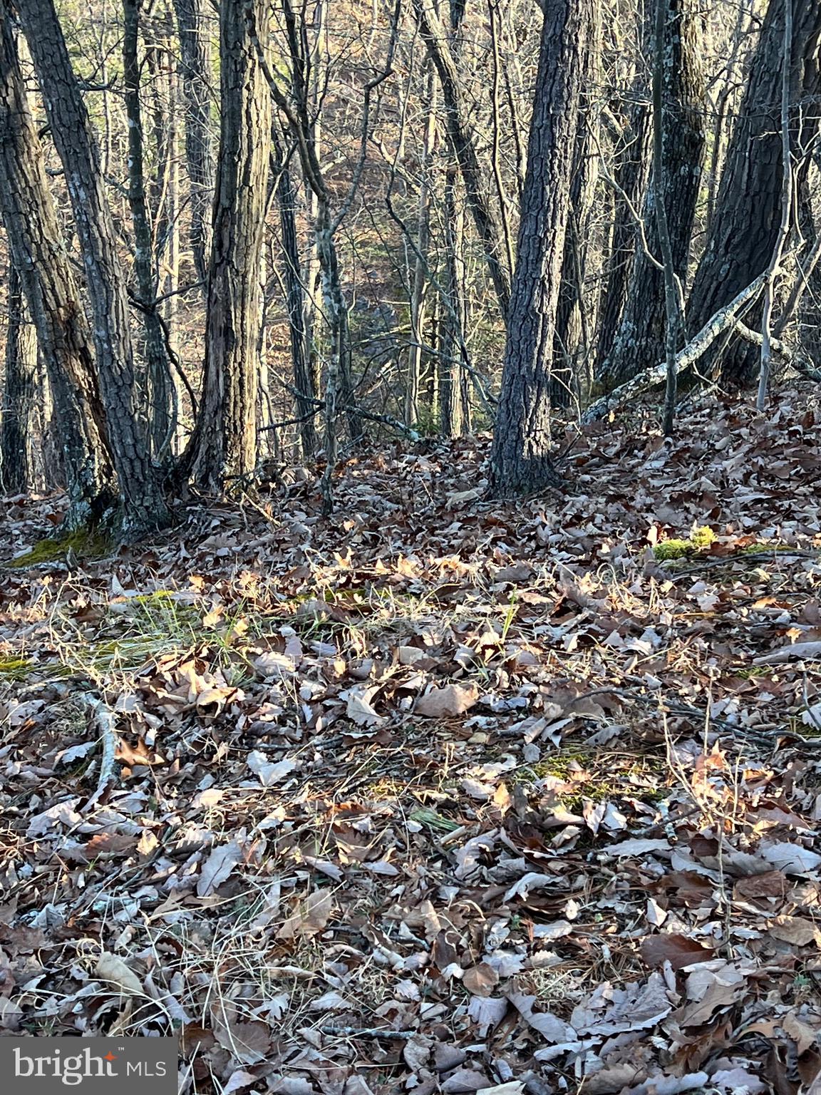 Lot 147 Valley View Mount Jackson, VA 22842 - Photo 3 of 5