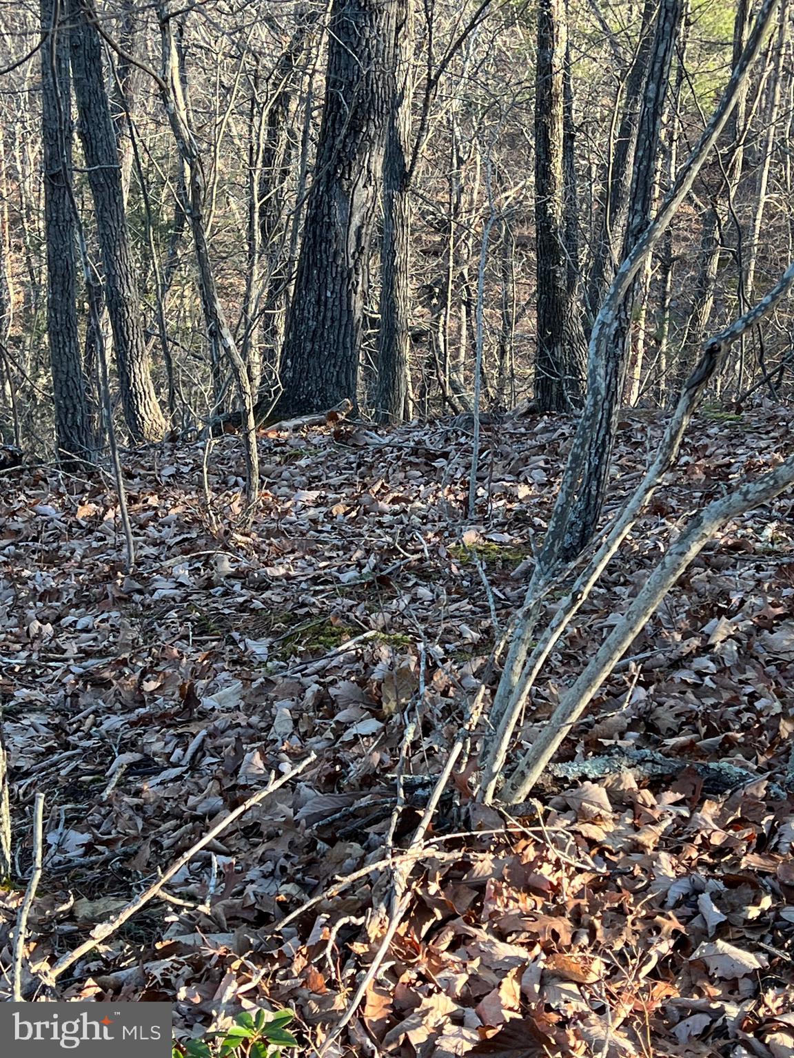 Lot 147 Valley View Mount Jackson, VA 22842 - Photo 4 of 5