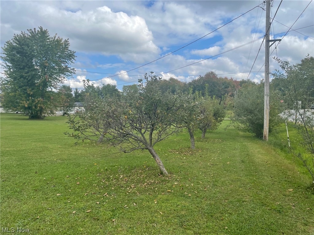 7297 Anderson Road Windham, OH 44288 - Photo 21 of 22 fruit trees