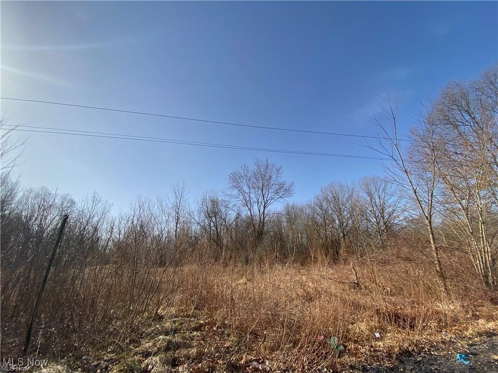 James Street Niles, OH 44446 - Photo 1 of 3