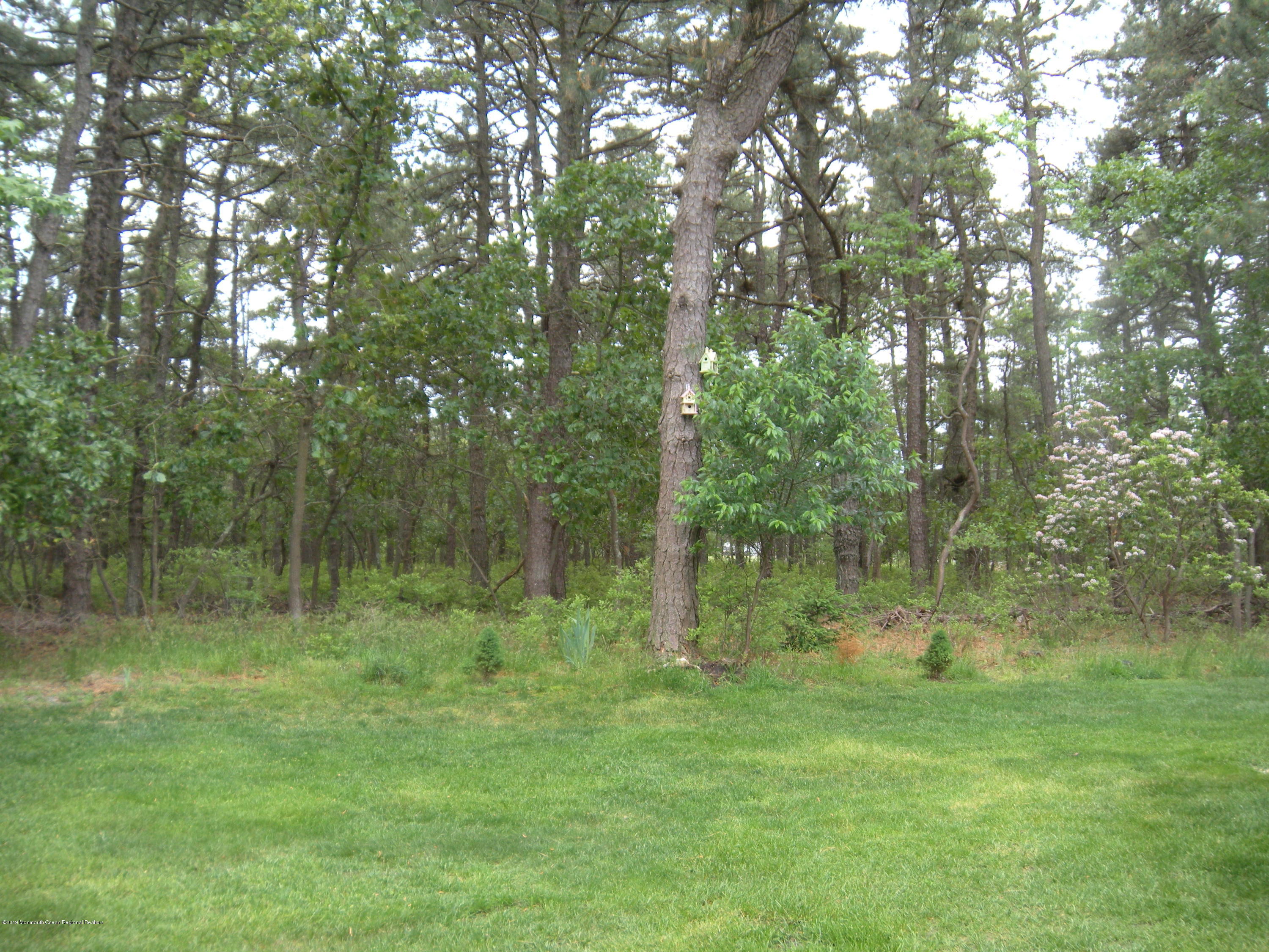 43 A Medford Road Whiting, NJ 08759 - Photo 4 of 21 DSCN4777