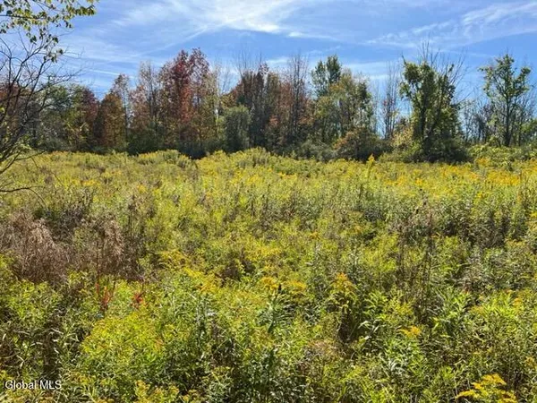 $69,900 | L27 Duanesburg Road, Delanson, NY 12053