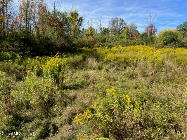 $69,900 | L27 Duanesburg Road, Delanson, NY 12053