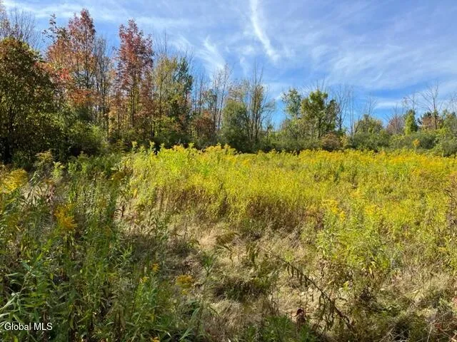$69,900 | L27 Duanesburg Road, Delanson, NY 12053