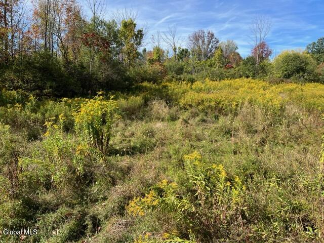 L27 Duanesburg Road Delanson, NY 12053 - Photo 12 of 14 IMG_4676