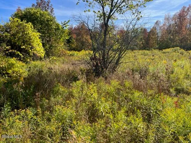 $69,900 | L27 Duanesburg Road, Delanson, NY 12053