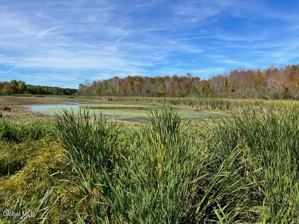 $69,900 | L27 Duanesburg Road, Delanson, NY 12053