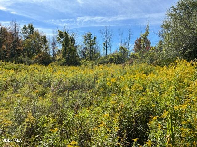 L27 Duanesburg Road Delanson, NY 12053 - Photo 3 of 14 IMG_4675