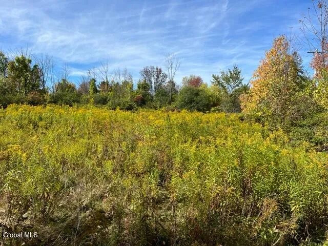 $69,900 | L27 Duanesburg Road, Delanson, NY 12053