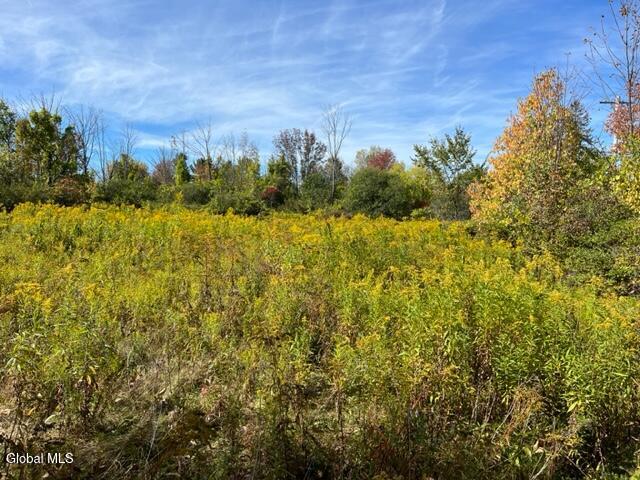 L27 Duanesburg Road Delanson, NY 12053 - Photo 4 of 14 IMG_4677