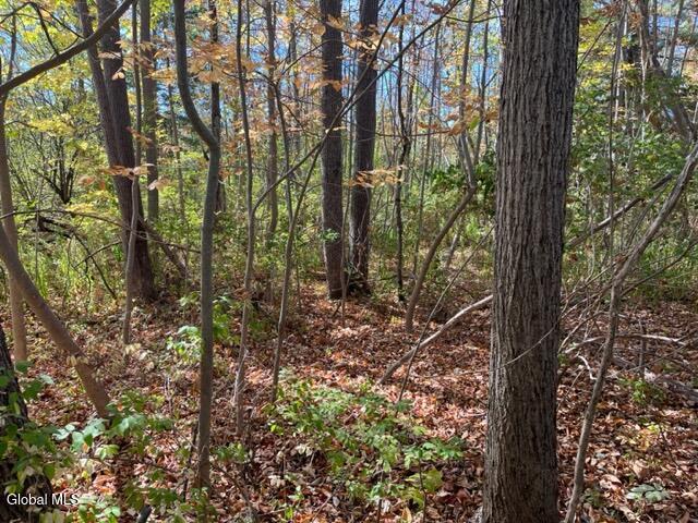 L27 Duanesburg Road Delanson, NY 12053 - Photo 5 of 12 IMG_4682