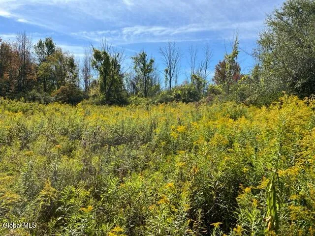 $69,900 | L27 Duanesburg Road, Delanson, NY 12053