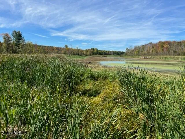 $69,900 | L27 Duanesburg Road, Delanson, NY 12053