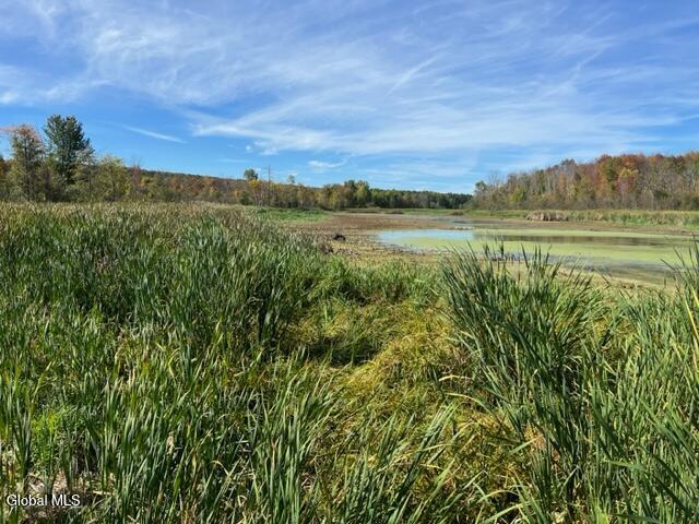 L27 Duanesburg Road Delanson, NY 12053 - Photo 6 of 14 IMG_4679