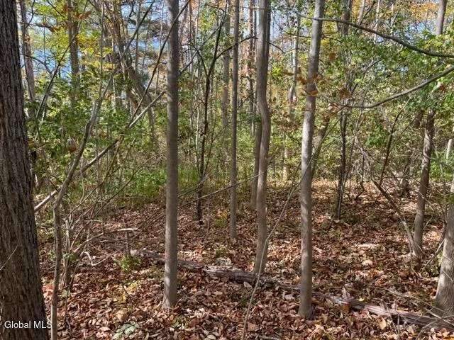 $69,900 | L27 Duanesburg Road, Delanson, NY 12053