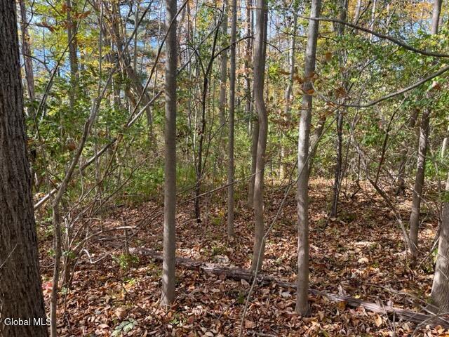 L27 Duanesburg Road Delanson, NY 12053 - Photo 8 of 12 IMG_4683 (1)