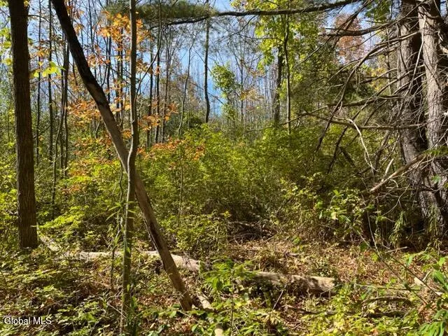 $69,900 | L27 Duanesburg Road, Delanson, NY 12053