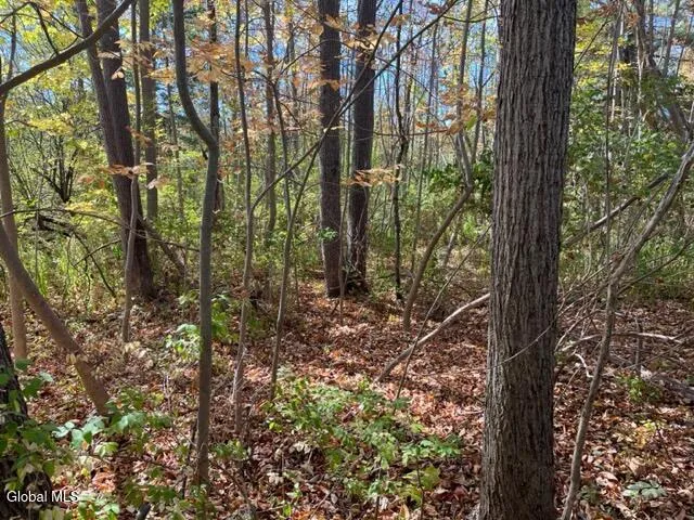 $69,900 | L27 Duanesburg Road, Delanson, NY 12053