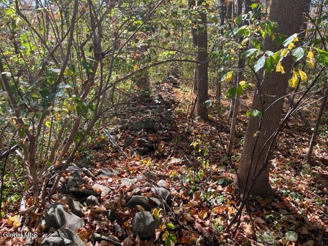 L27 Duanesburg Road Delanson, NY 12053 - Photo 10 of 14 IMG_4681