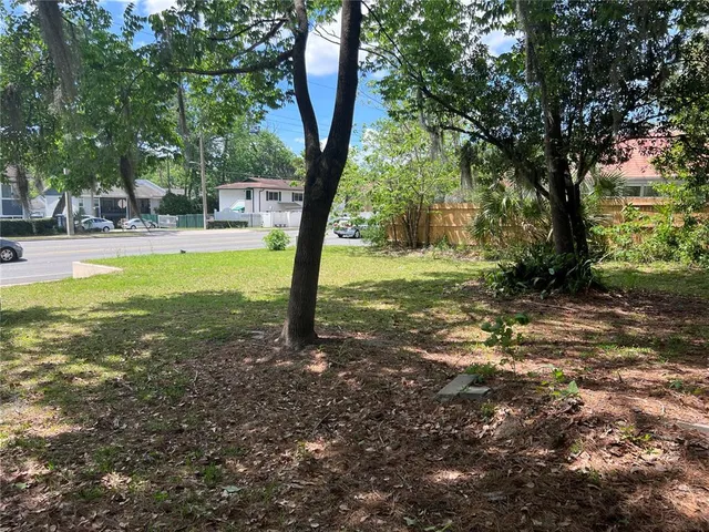 a view of a tree in a yard