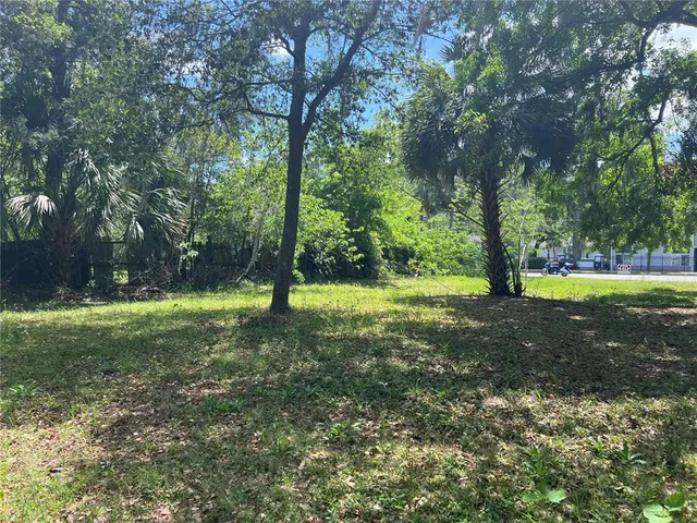 a view of a tree in a yard
