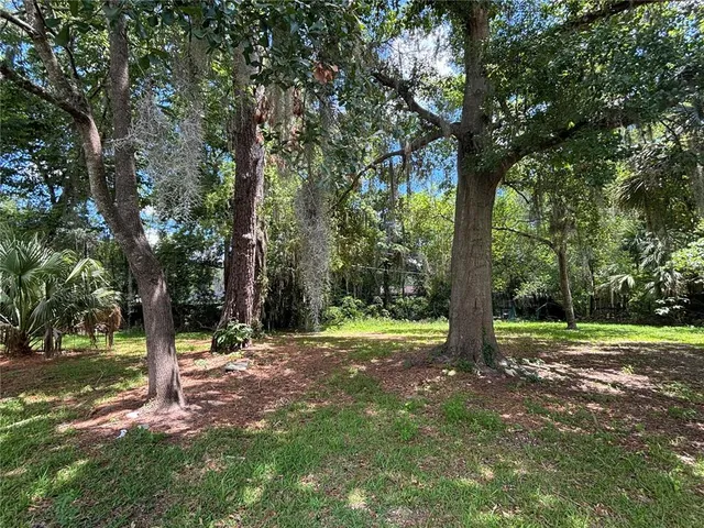 a view of a tree in a yard