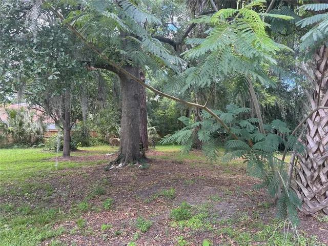 a view of outdoor space and trees