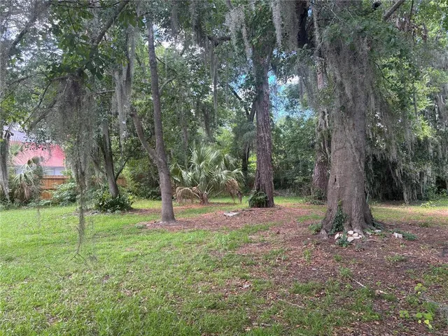 a view of a tree in a park