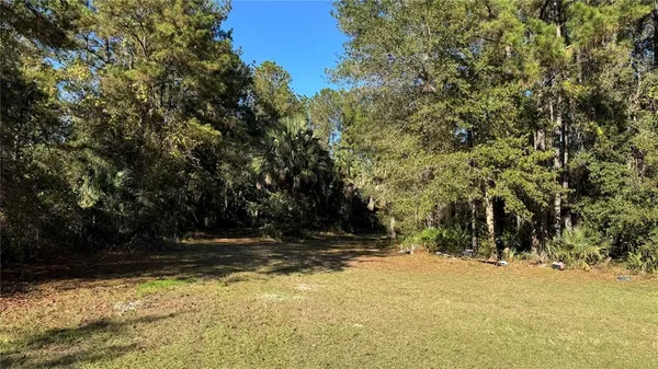 a view of a house with backyard and trees