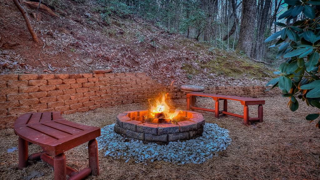 203 Chimney Rock Court Blue Ridge, GA 30513 - Photo 12 of 52 a view of a backyard with a fountain