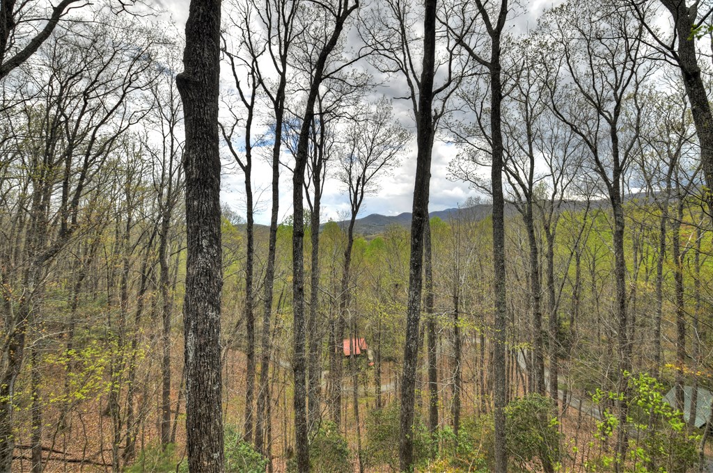 203 Chimney Rock Court Blue Ridge, GA 30513 - Photo 17 of 52 a view of lake from balcony