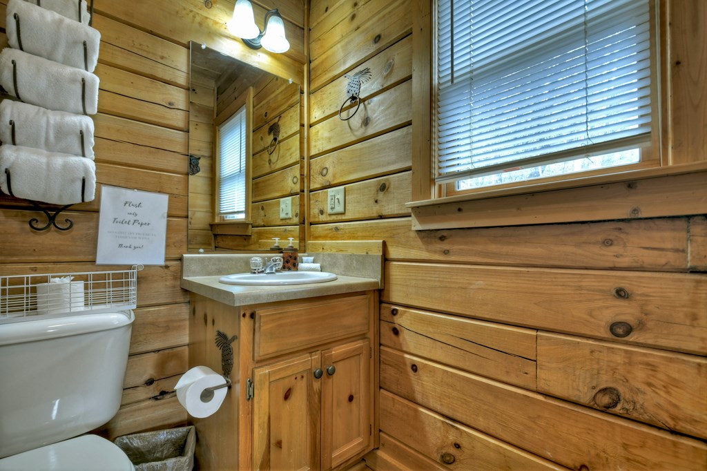 203 Chimney Rock Court Blue Ridge, GA 30513 - Photo 32 of 52 a bathroom with a sink and mirror